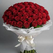 Букет 101 Красная роза Блэк Мэджик в Панино