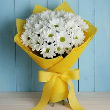 Букет цветов из:  Хризантемы в Панино