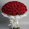 Букет 101 Красная роза Блэк Мэджик в Панино