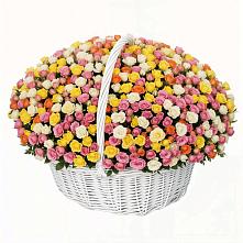 Премиум букет из: Розы в Панино