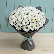 Букет цветов из:  Хризантемы в Панино