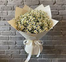 Букет цветов из:  Ромашки #REPLACE_PRED# Панино