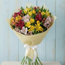 Букет цветов из:  Альстромерии в Панино