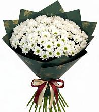 Букет цветов из:  Хризантемы в Панино