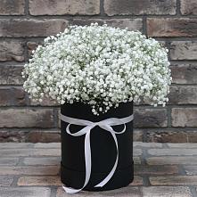 Цветочная композиция из Гипсофила в шляпной коробке #REPLACE_PRED# Панино