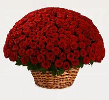 Премиум букет из: Розы в Панино