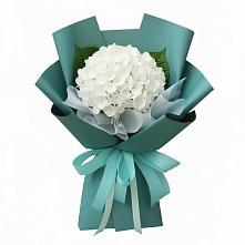 Букет цветов из:  Гортензия в Панино